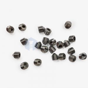 custom screw ISO 4027 M8-1.4913